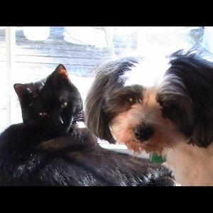 Meet your Posher, Cecilia